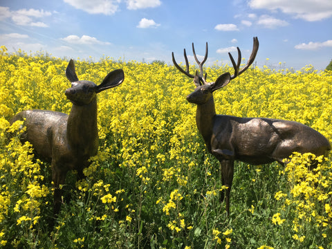 Stag and Deer Statues (Indoor and Outdoor)