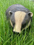 Badger Wildlife Countryside Garden Ornament Statue Painted Effect