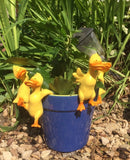 4 Ducks Birds Chicks Flower Pot Hangers Decorations Garden Statues Ornaments