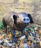 Bronze Effect Pig Pair Garden Home Statue Ornaments Figurine