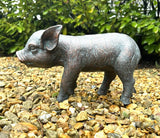 Piglet Pig Garden or Home Statue Ornament Metal Bronze Effect