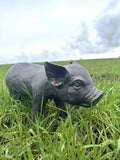 Piglet Pig Garden or Home Statue Ornament Metal Bronze Effect