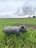 Piglet Pig Garden or Home Statue Ornament Metal Bronze Effect