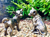 Chihuahua Dog Pair Statues Garden or Interior Ornament