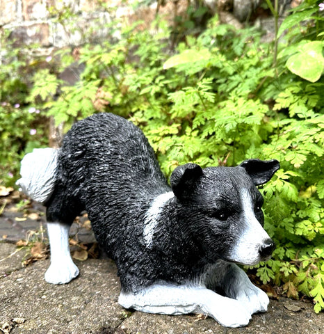 Border Collie Dog Home Statue Interior /Exterior Ornament Painted Finish