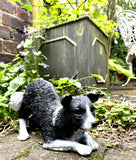 Border Collie Dog Home Statue Interior /Exterior Ornament Painted Finish