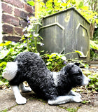 Border Collie Dog Home Statue Interior /Exterior Ornament Painted Finish