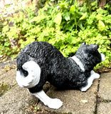 Border Collie Dog Home Statue Interior /Exterior Ornament Painted Finish