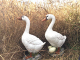 Geese Pair Birds Fowl Garden Statue Kitchen Decor Farm Ornament figurine