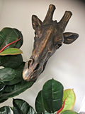 Giraffe Bust Head Interior Design Conservatory Summer House Statue Bronze Effect
