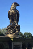 Life size Golden Eagle Aluminium Statue Garden Ornament Figurine Frost Proof