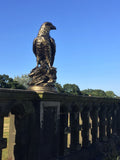 Life size Golden Eagle Aluminium Statue Garden Ornament Figurine Frost Proof