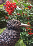 King Fisher Bird Garden Home Ornament, Statue Bronze Effect Finish