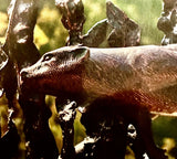Otter Water Fountain Feature Garden sculpture