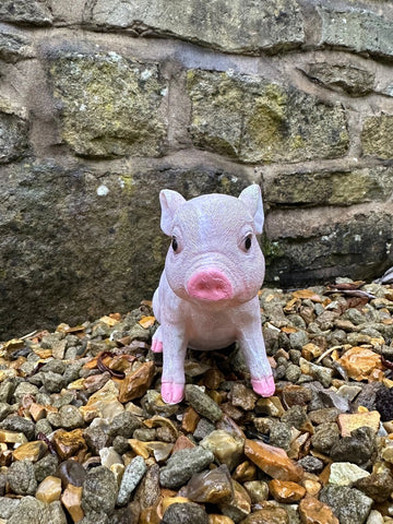 British Pink Piglet Pig Garden Kitchen Statue Piggy Ornament