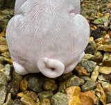 British Pink Piglet Pig Garden Kitchen Statue Piggy Ornament