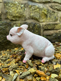 British Pink Piglet Pig Garden Kitchen Statue Piggy Ornament