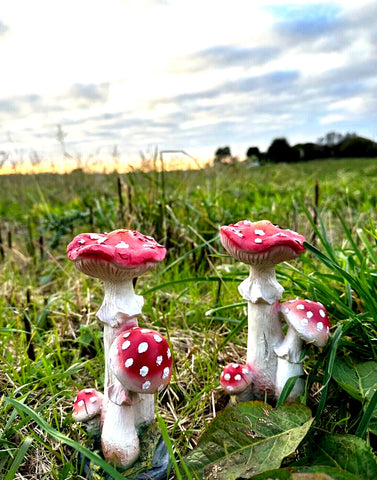 Set of 2 Toadstools Garden Ornament Statue