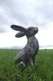 Alert Hare Garden Statue Bronze effect Finish