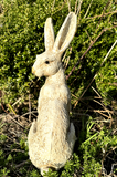 March hare Garden Statue Ornament Winter White/Cream