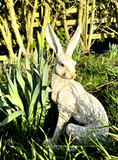 March hare Garden Statue Ornament Winter White/Cream