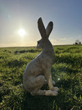 March hare Garden Statue Ornament Winter White/Cream