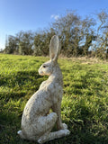 March hare Garden Statue Ornament Winter White/Cream