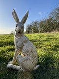 March hare Garden Statue Ornament Winter White/Cream