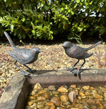 Garden Birds Ornament, Sparrows Statues Bronze Effect Cast Iron Bird pair Set